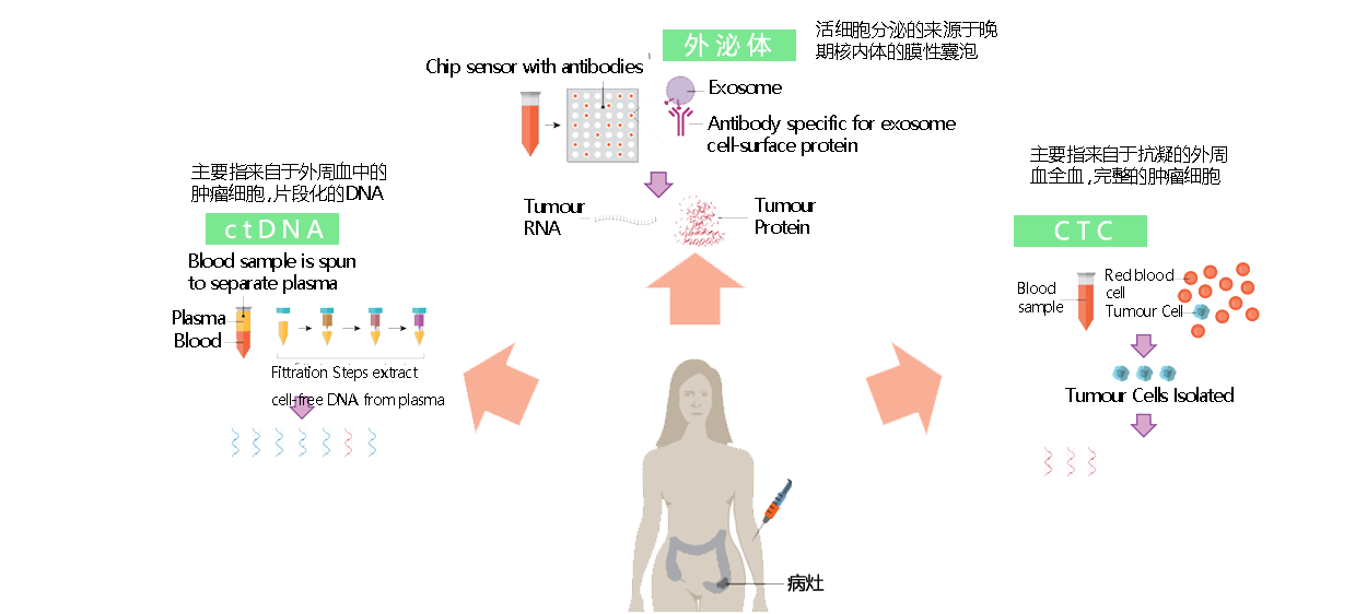 早筛分子观测精准定位